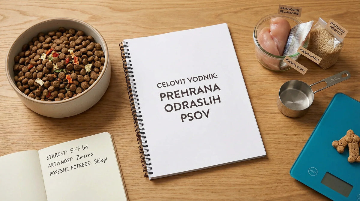 Skleda suhe hrane, zvezek in sestavine za prehrano odraslega psa