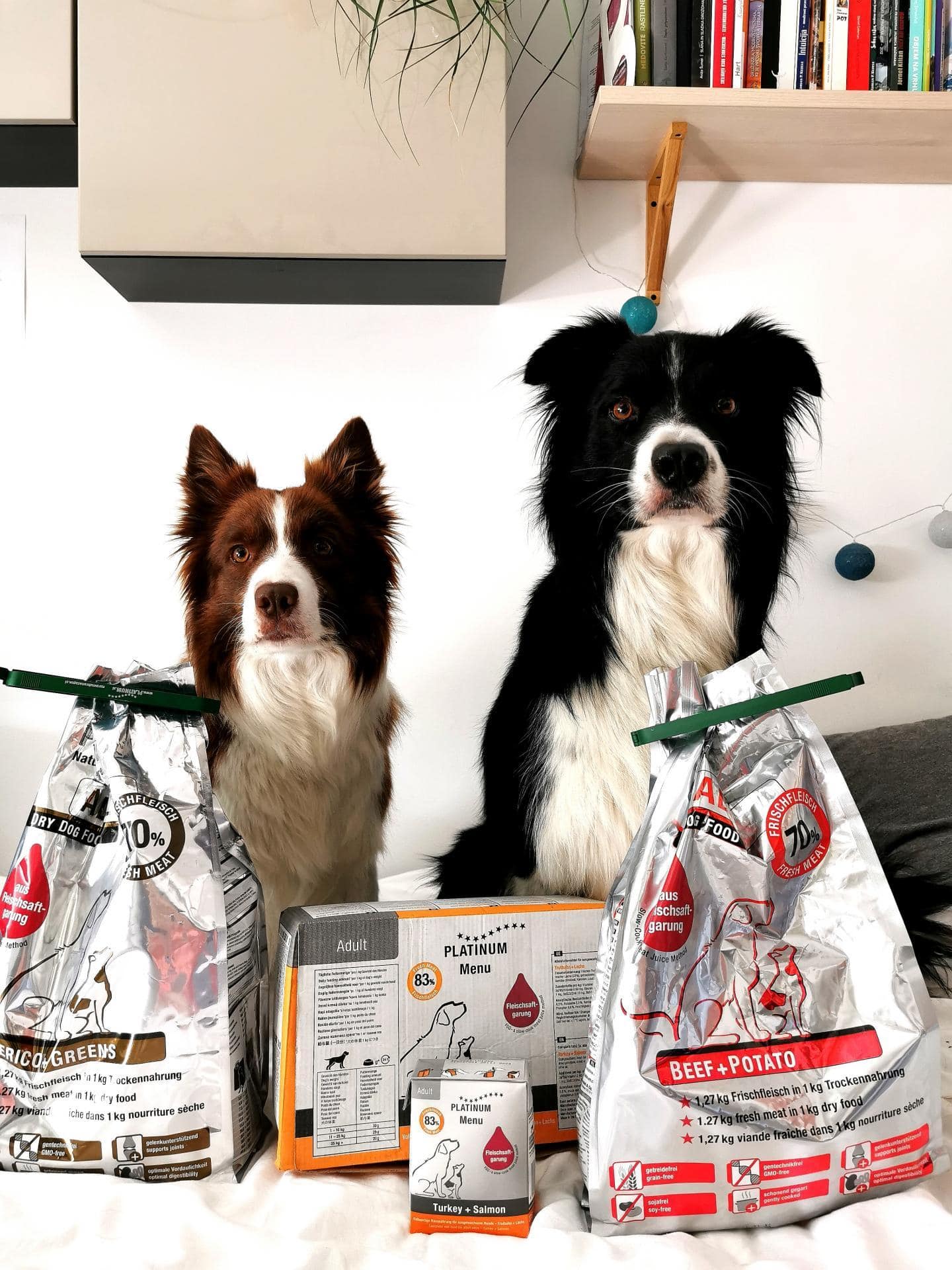Dva psa sedita na postelji za vrečkami in škatlami pasje hrane. V ozadju so vidne police s knjigami in vrvne luči. Embalaža hrane je večinoma srebrne barve z rdečimi in oranžnimi poudarki.