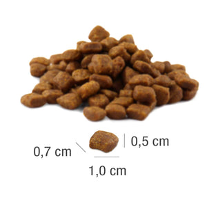 MeatCrisp Adult Fish, Suha Hrana za Mačke